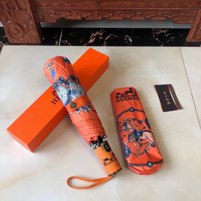 Hermes Umbrella (5)